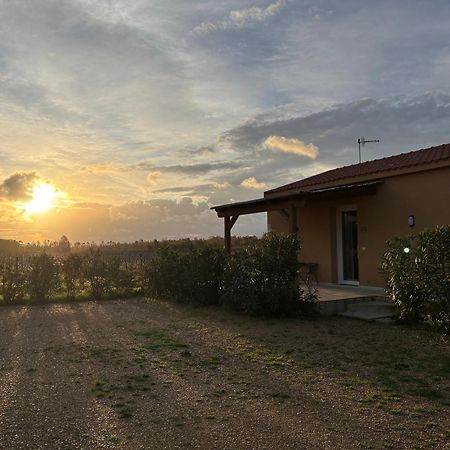 Maris Suite - Appartamento Con Vasca Idromassaggio Alghero Esterno foto